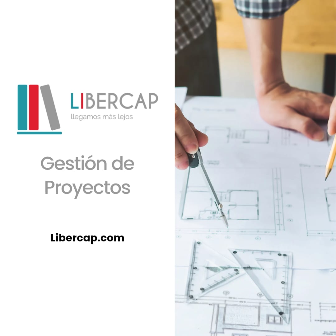 Gestión de Proyectos