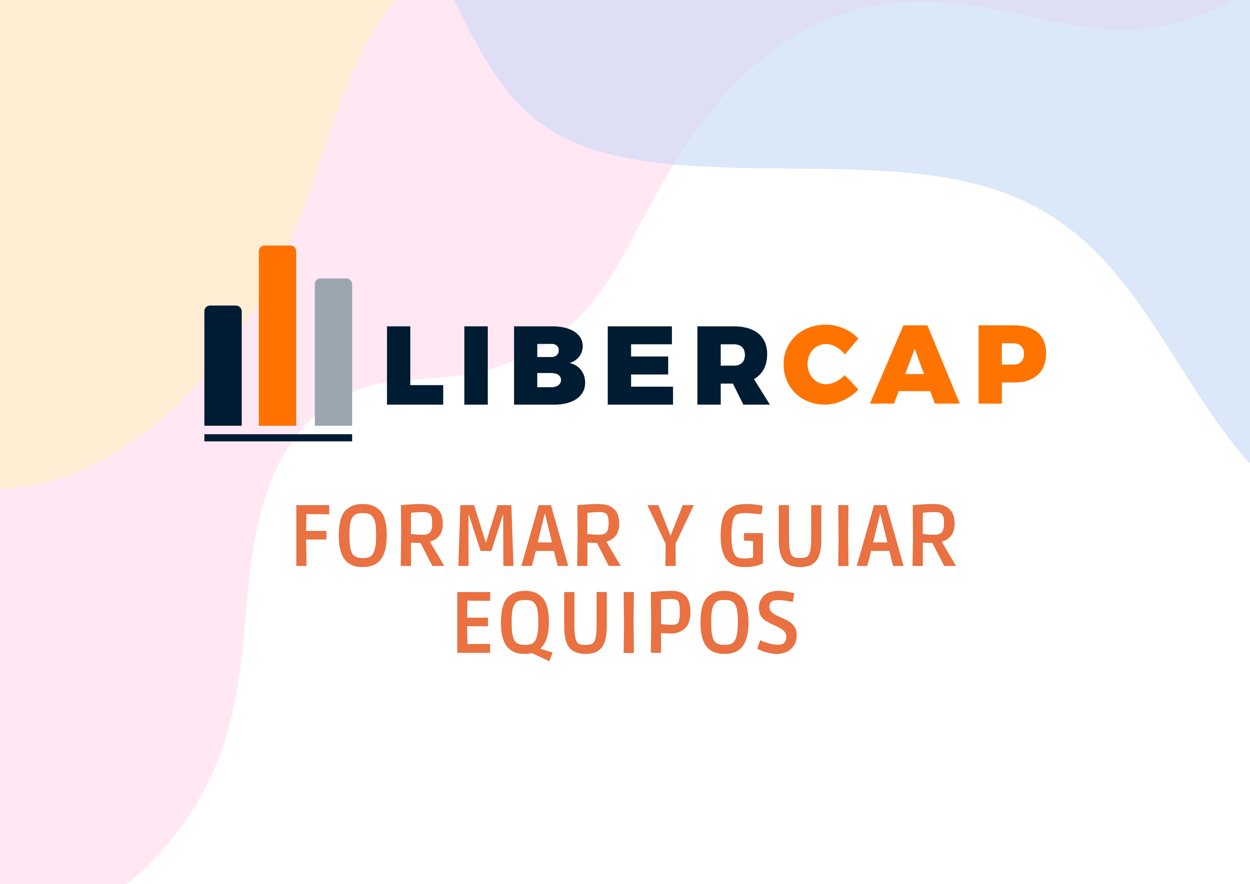 Formar y Guiar Equipos